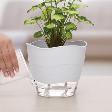 Self-Watering Pot