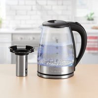 Electric Kettle with Infuser