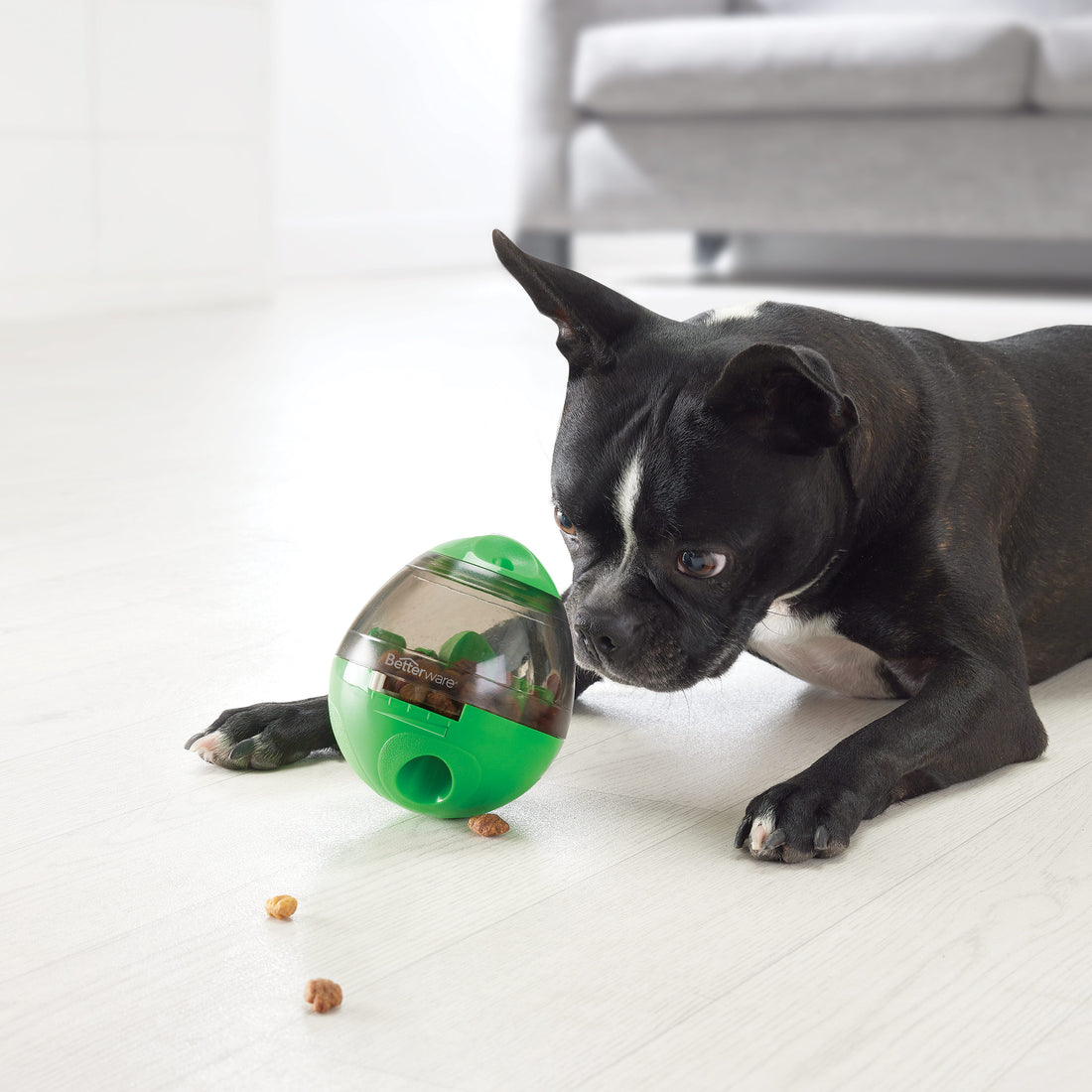 Treat Dispensing Pet Toy