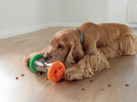 Treat Dispensing Pet Puzzle