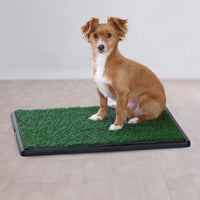 Washable Pet Pad