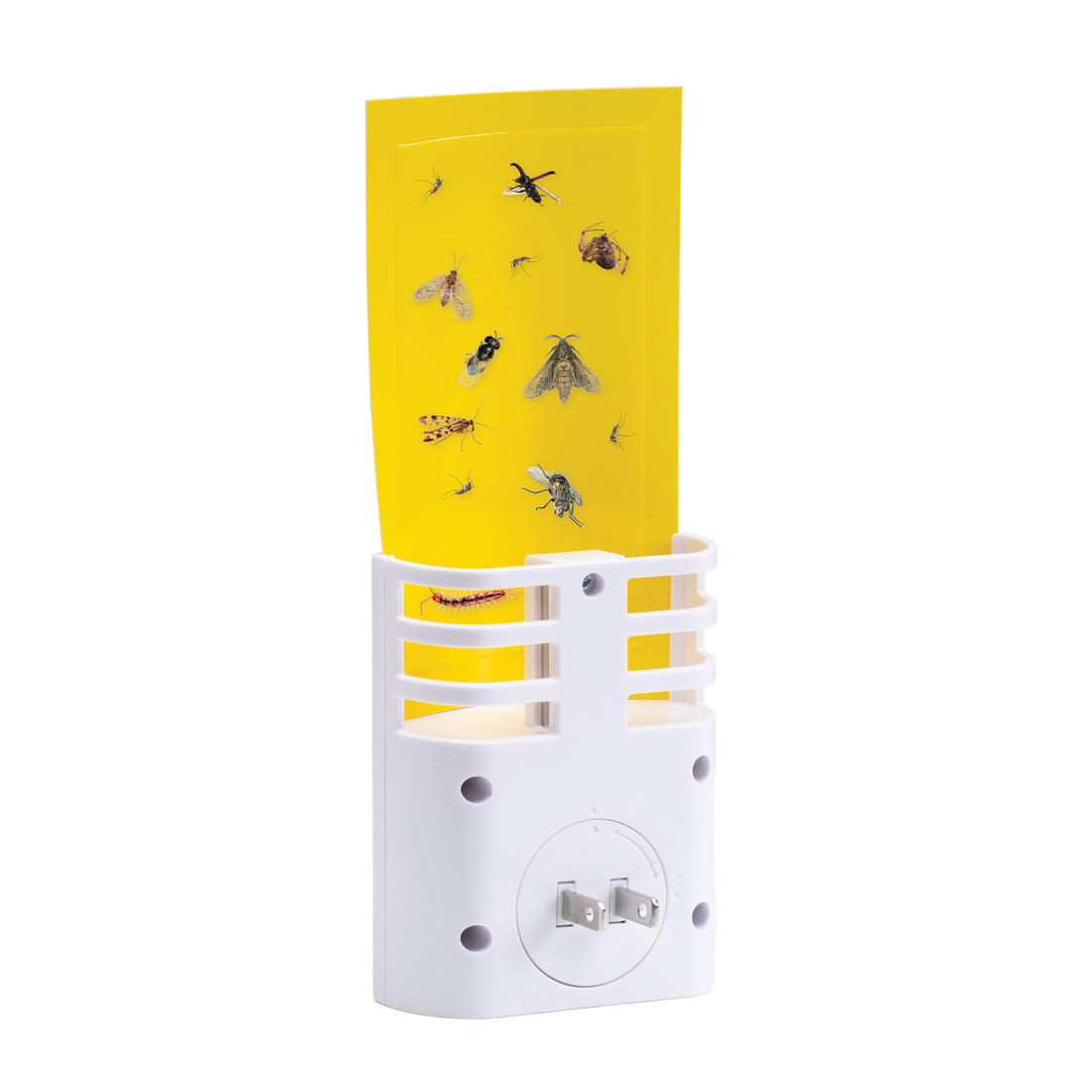 Illuminated Bug Catcher