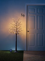 Illuminated Tree