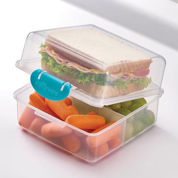 Dual Sandwich Container