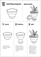 Self-Watering Pot